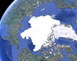 Attraksjon Pole Dyr på Nord- og Sydpolen