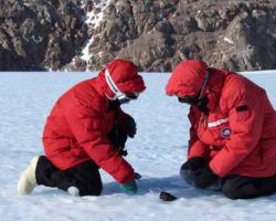 Kar so odkrili na Antarktiki, ni šokiralo le znanstvenikov