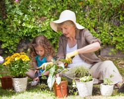 The role of grandparents in the upbringing of grandchildren